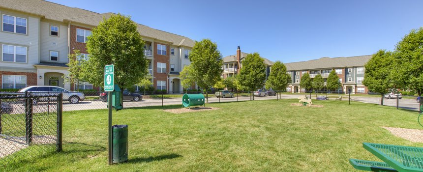 Picture of dog park in our Indianapolis apartment community